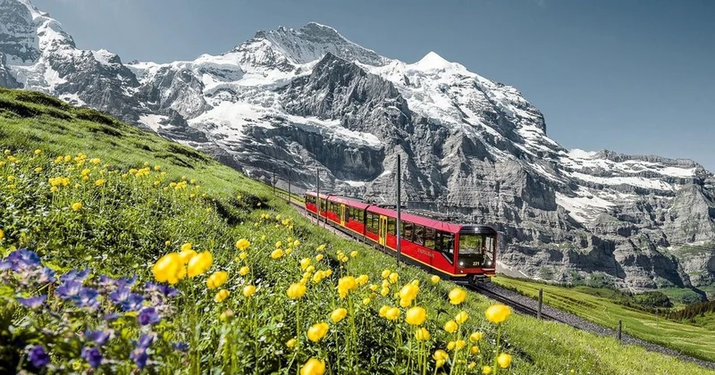 Ab Interlaken: Geführte Tour zum Jungfraujoch